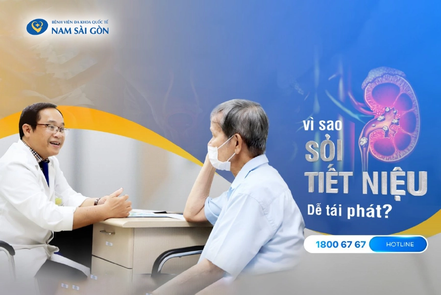 SỎI TIẾT NIỆU: NGUYÊN NHÂN, BIỂU HIỆN, CHẨN ĐOÁN VÀ ĐIỀU TRỊ